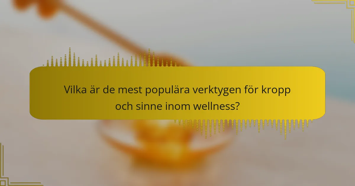 Vilka är de mest populära verktygen för kropp och sinne inom wellness?